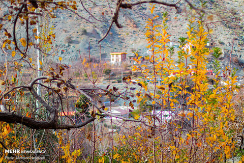 پاییز در روستای گردشگری «دزگ»