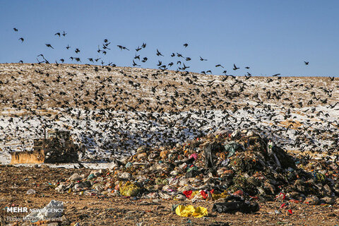 دود زباله ها در چشم طبیعت بکرترین منطقه بجنورد