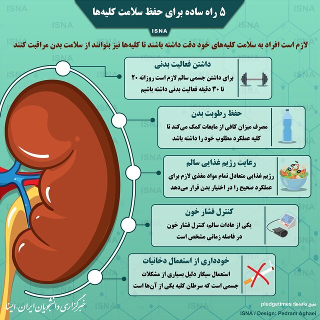 اينفوگرافي سلامت كليه‌ها