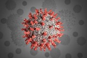 رفتار تهاجمی گونه‌ جدید کرونا جوانان بیشتری را راهی بیمارستان می‌کند ا عوارض کرونا را دست کم نگیرید