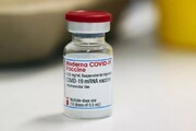 پژوهشگران: واکنش آلرژی به واکسن کرونای مدرنا بسیار نادر است