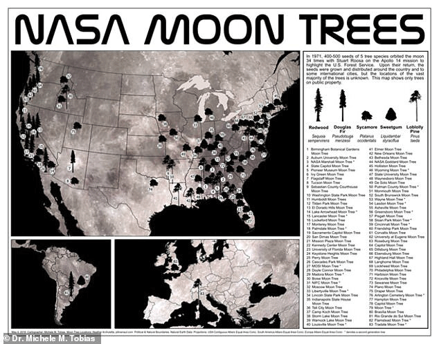 نقشه درختان ماه