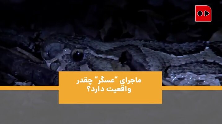 مار