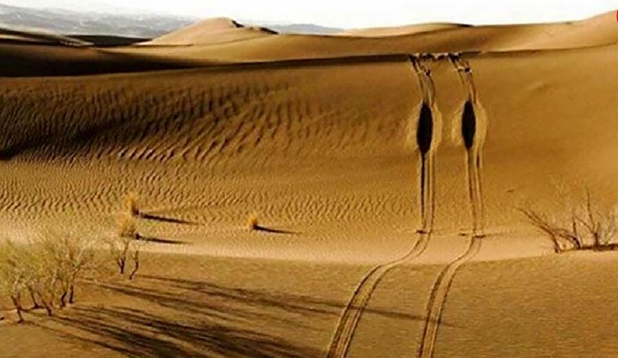 كوير