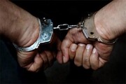 بازداشت یک قاچاقچی بزرگ دارو در پایتخت