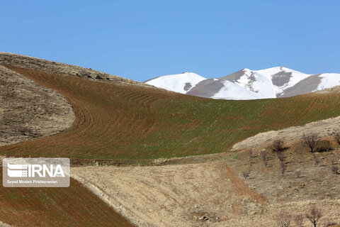 طبیعت روستای کانی‌مشکان سنندج