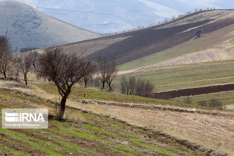 طبیعت روستای کانی‌مشکان سنندج
