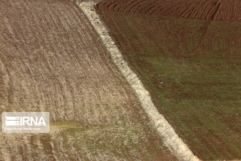 طبیعت روستای کانی‌مشکان سنندج