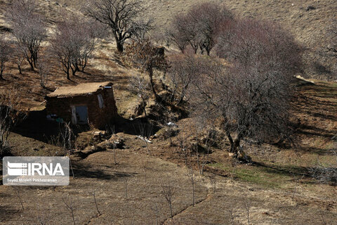 طبیعت روستای کانی‌مشکان سنندج