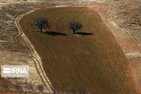 طبیعت روستای کانی‌مشکان سنندج