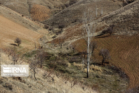 طبیعت روستای کانی‌مشکان سنندج