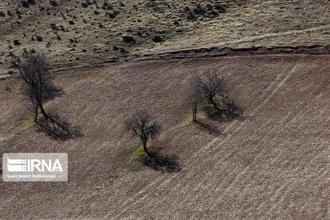 طبیعت روستای کانی‌مشکان سنندج