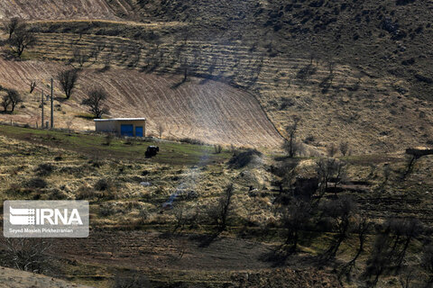 طبیعت روستای کانی‌مشکان سنندج