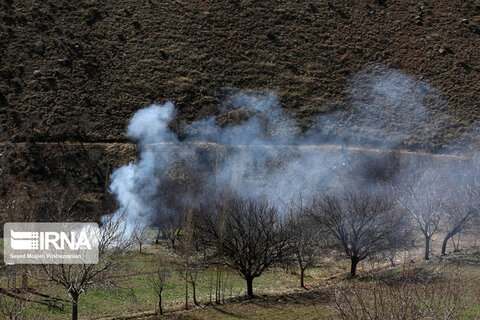 طبیعت روستای کانی‌مشکان سنندج