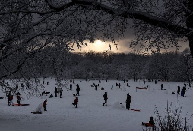 برف‌بازی مردم در یک روز زمستانی در پارک «پروسپکت» / بروکلین / نیویورک / ایالات متحده آمریکا