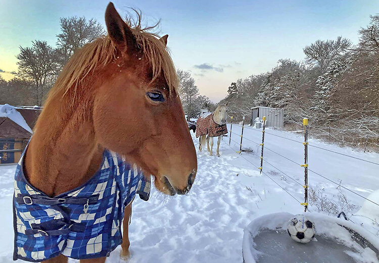 زمستان سخت و بارش سنگين برف در آمريكا