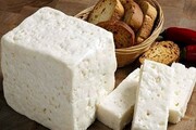 جدول | افزایش ۳۵ درصدی قیمت پنیرهای صبحانه | پنیر سنتی کیلویی ۱۶۶ هزار تومان!