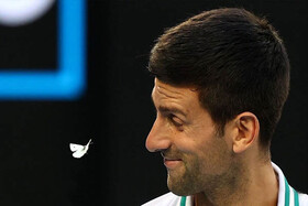 عکس | شکار پروانه و جووکویچ در یک قاب شگفت‌انگیز