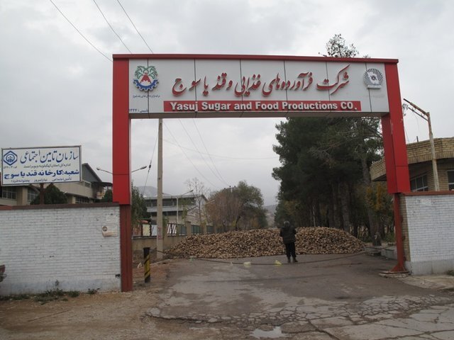 قند یاسوج