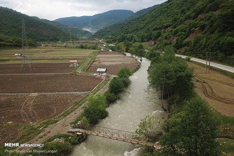 حال پریشان رودخانه« تجن»