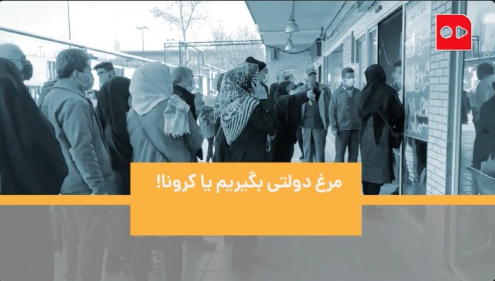 صف مرغ یا کرونا