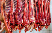 عوامل پنهان گرانی گوشت | مشتریان جگر نخریدند، گوشت گران شد!
