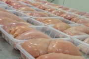 قیمت انواع مرغ بسته بندی در بازار  | مرغ کامل خرده شده بدون پوست ۱۵۹ هزار تومان
