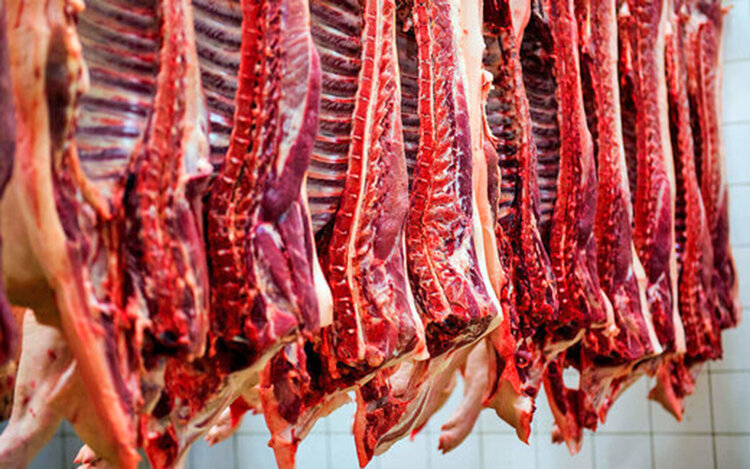 قیمت واقعی گوشت اعلام شد | سودجویی دلالان در بازار