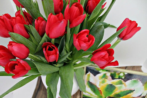 ۱۶ گل بهاری برای زیبا کردن فضای خانه