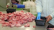 صفر تا صد ورود به صنعت بسته‌بندی گوشت و فرآورده‌های پروتئینی | معرفی انواع دستگاه‌های سیل وکیوم