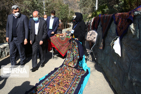 کاشت نهال صلح  از سوی ظریف و حناچی