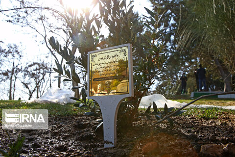 کاشت نهال صلح  از سوی ظریف و حناچی