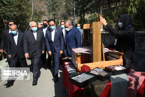 کاشت نهال صلح  از سوی ظریف و حناچی