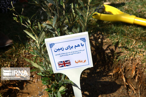 کاشت نهال صلح  از سوی ظریف و حناچی