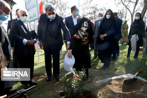 کاشت نهال صلح  از سوی ظریف و حناچی