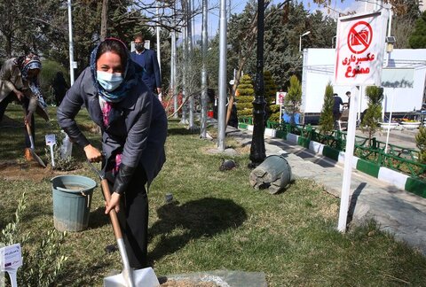 کاشت نهال صلح  از سوی ظریف و حناچی