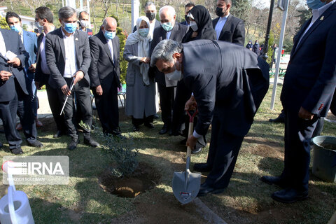 کاشت نهال صلح  از سوی ظریف و حناچی