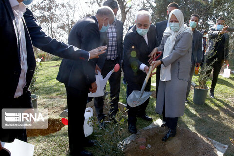 کاشت نهال صلح  از سوی ظریف و حناچی