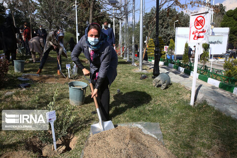 کاشت نهال صلح  از سوی ظریف و حناچی