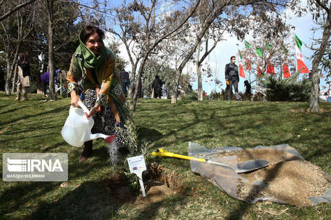 کاشت نهال صلح  از سوی ظریف و حناچی