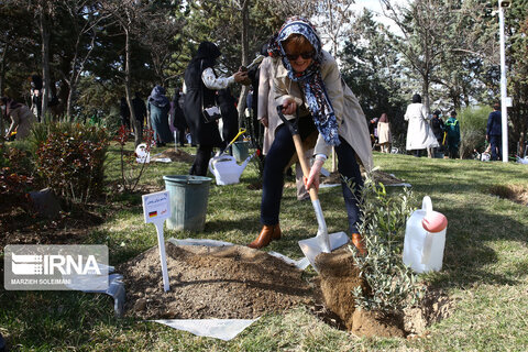 کاشت نهال صلح  از سوی ظریف و حناچی