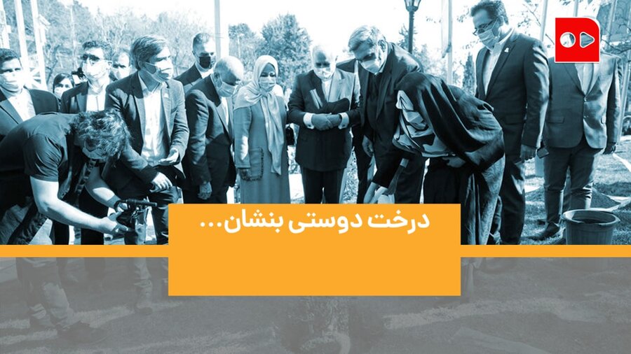 درختکاری با دستان دیپلماتیک - درختکاری ظریف و حناچی