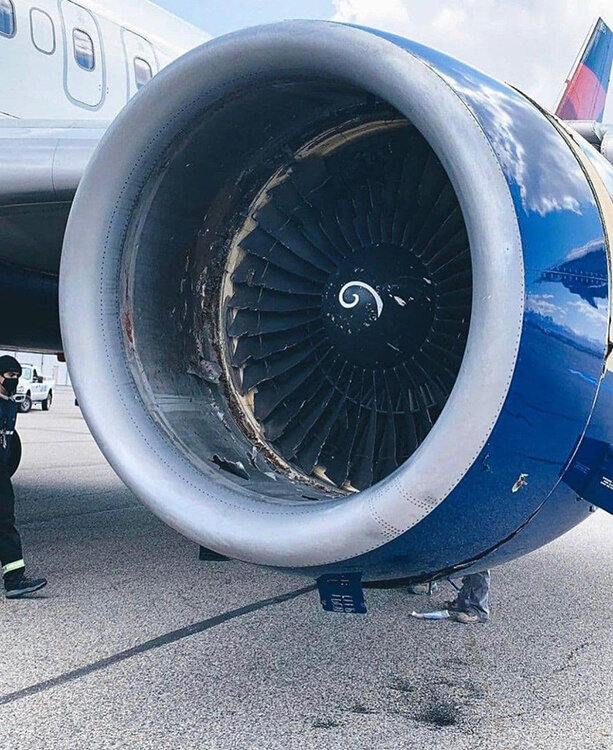 تصاویر | بلایی که برخورد با پرندگان سر بویینگ ۷۵۷ آمریکایی آورد