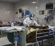 شناسایی ۳ مبتلا به ویروس کرونای آفریقای جنوبی در جنوب ایران