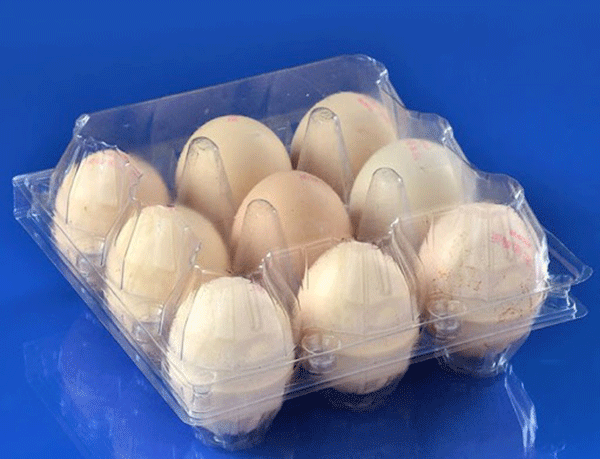 تخم مرغ بسته بندی شده