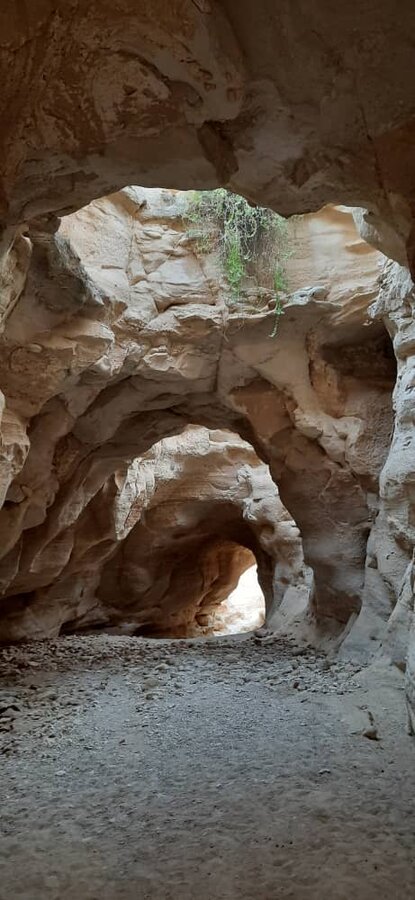 دیدنی‌های پارسیان