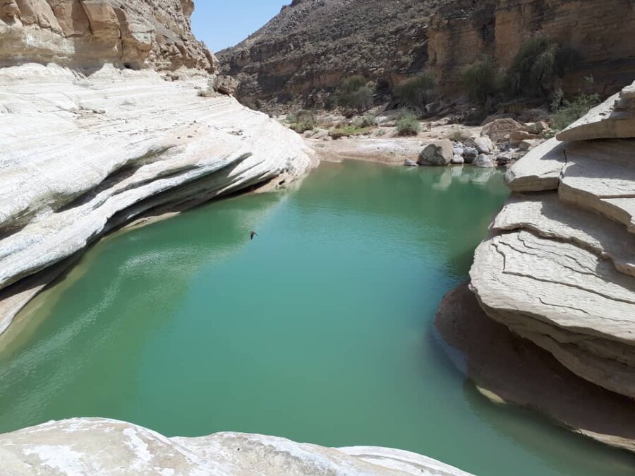 دیدنی‌های پارسیان