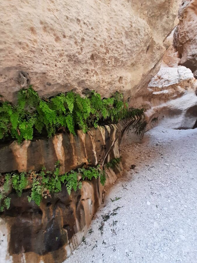 دیدنی‌های پارسیان