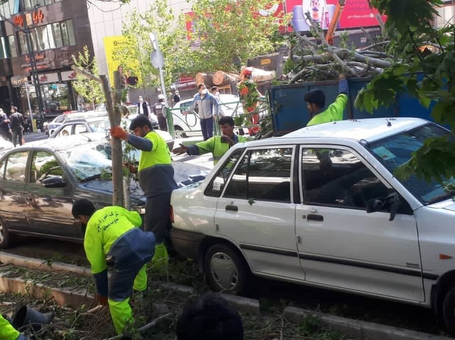 سقوط درخت کهنسال و پوسیده روی خودروها در خیابان ولیعصر تهران