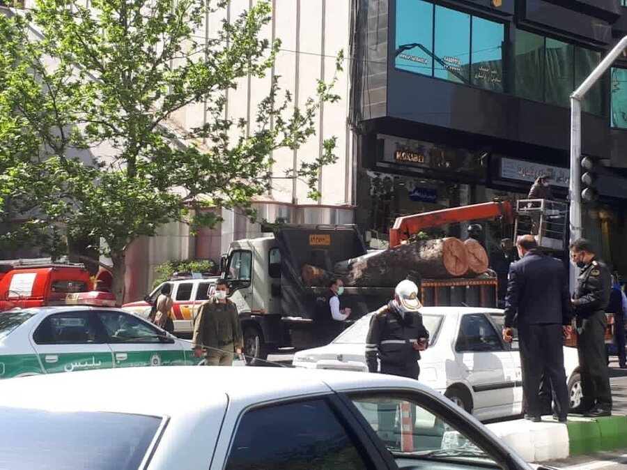 سقوط درخت کهنسال و پوسیده روی خودروها در خیابان ولیعصر تهران